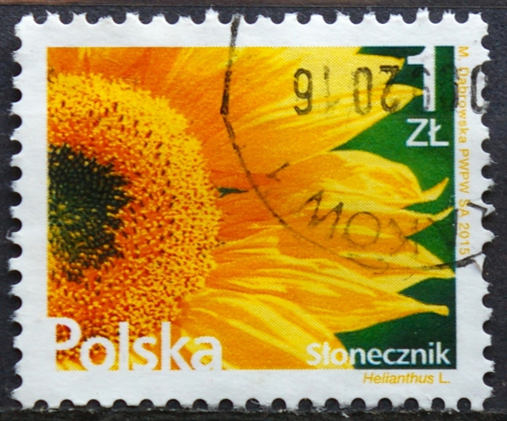 Lenkija, MiNr 4775 Used(O)