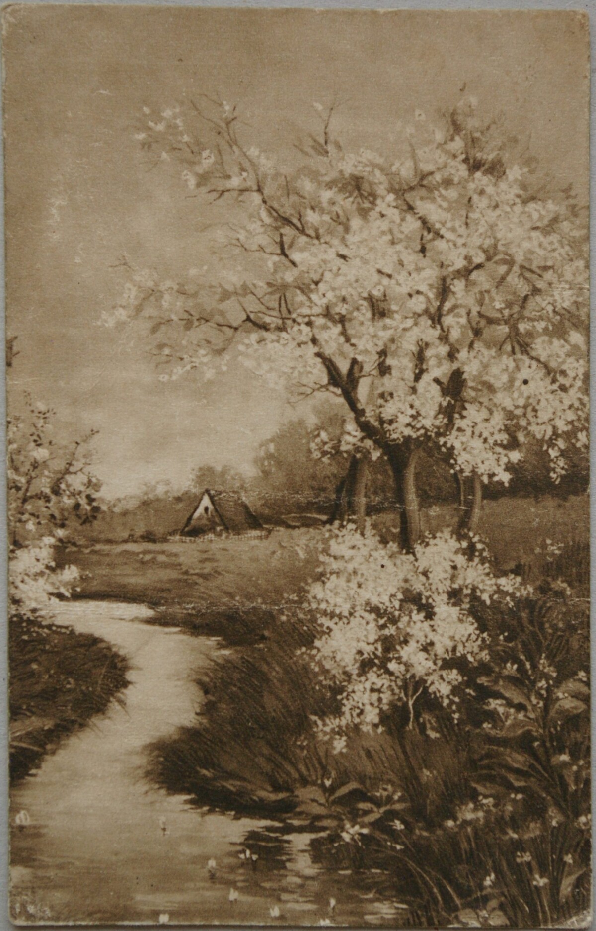 Vokietijos Reichas 1916m atvirlaiškis