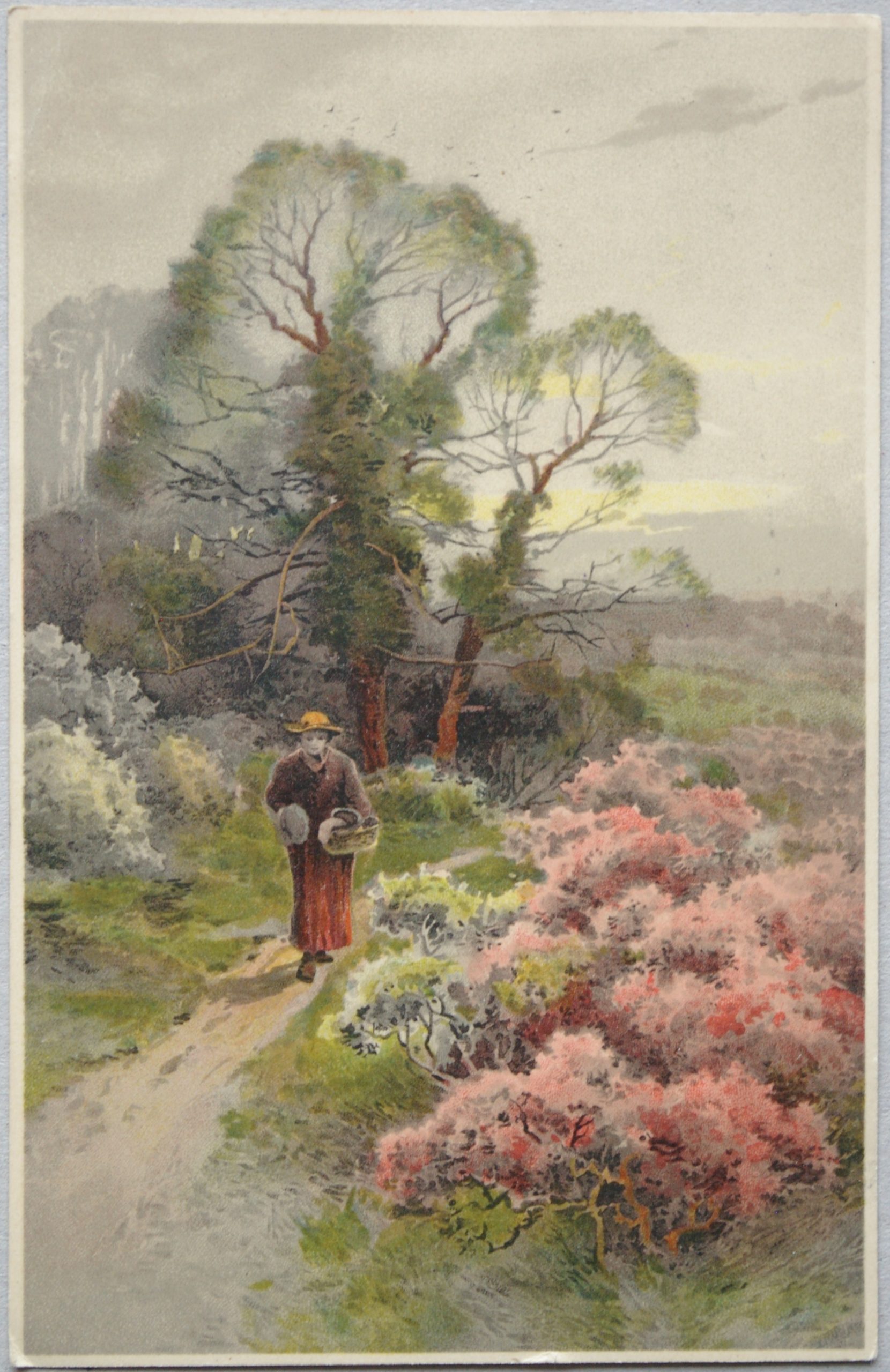 Vokietijos Reichas 1908m atvirlaiškis