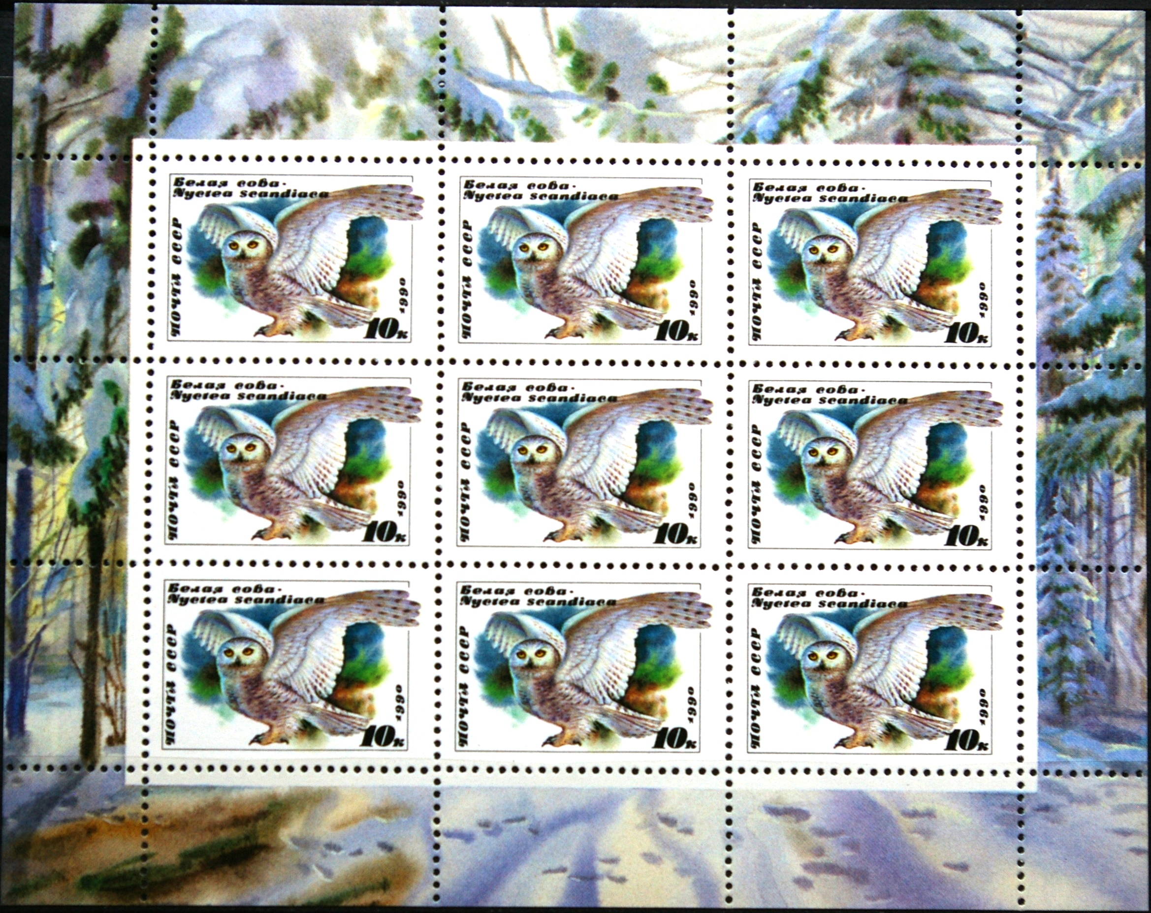 Rusija, TSRS, pilnas mažasis lapukas MiNr 6063 MNH** G