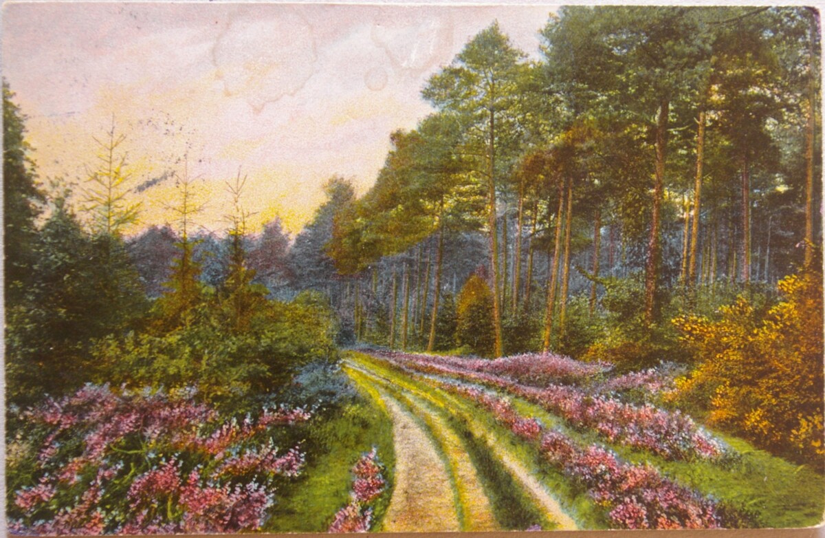 Vokietijos Reichas, Liuneburgas 1910m atvirlaiškis