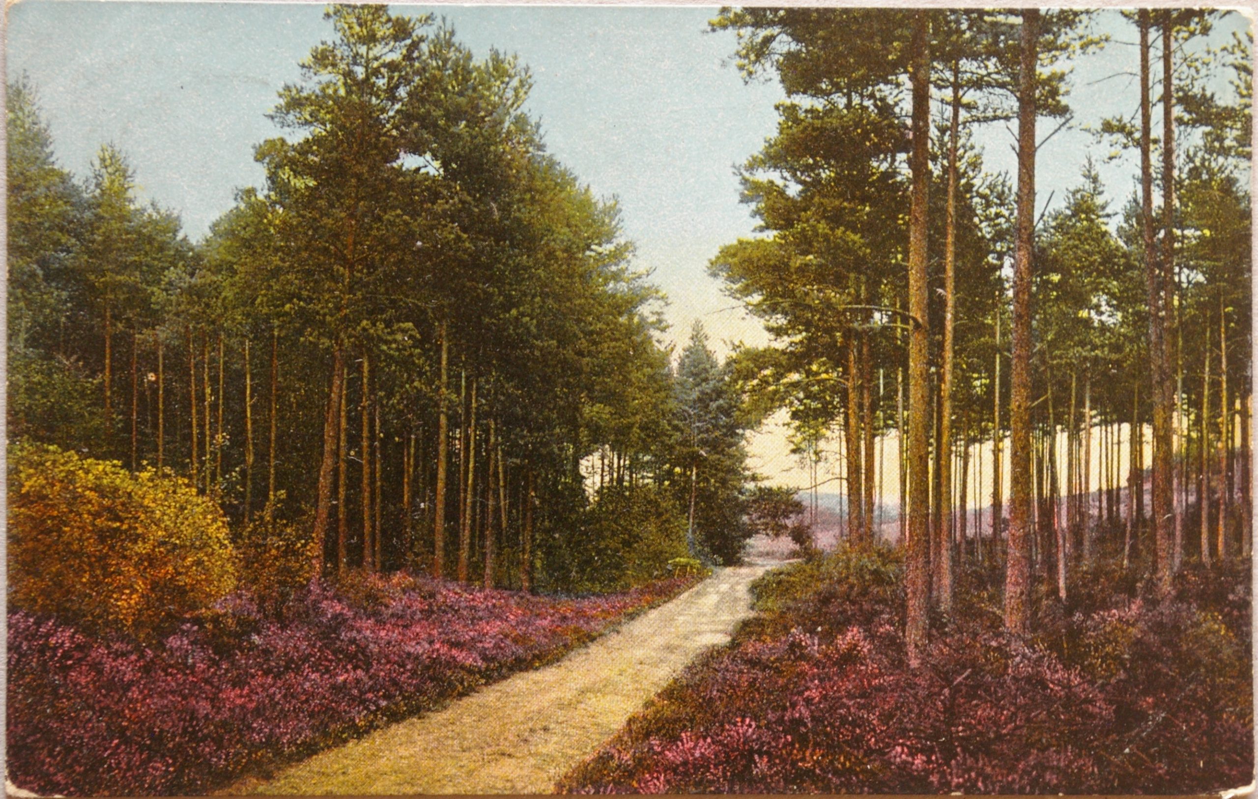 Vokietijos Reichas, Liuneburgas 1912m atvirlaiškis