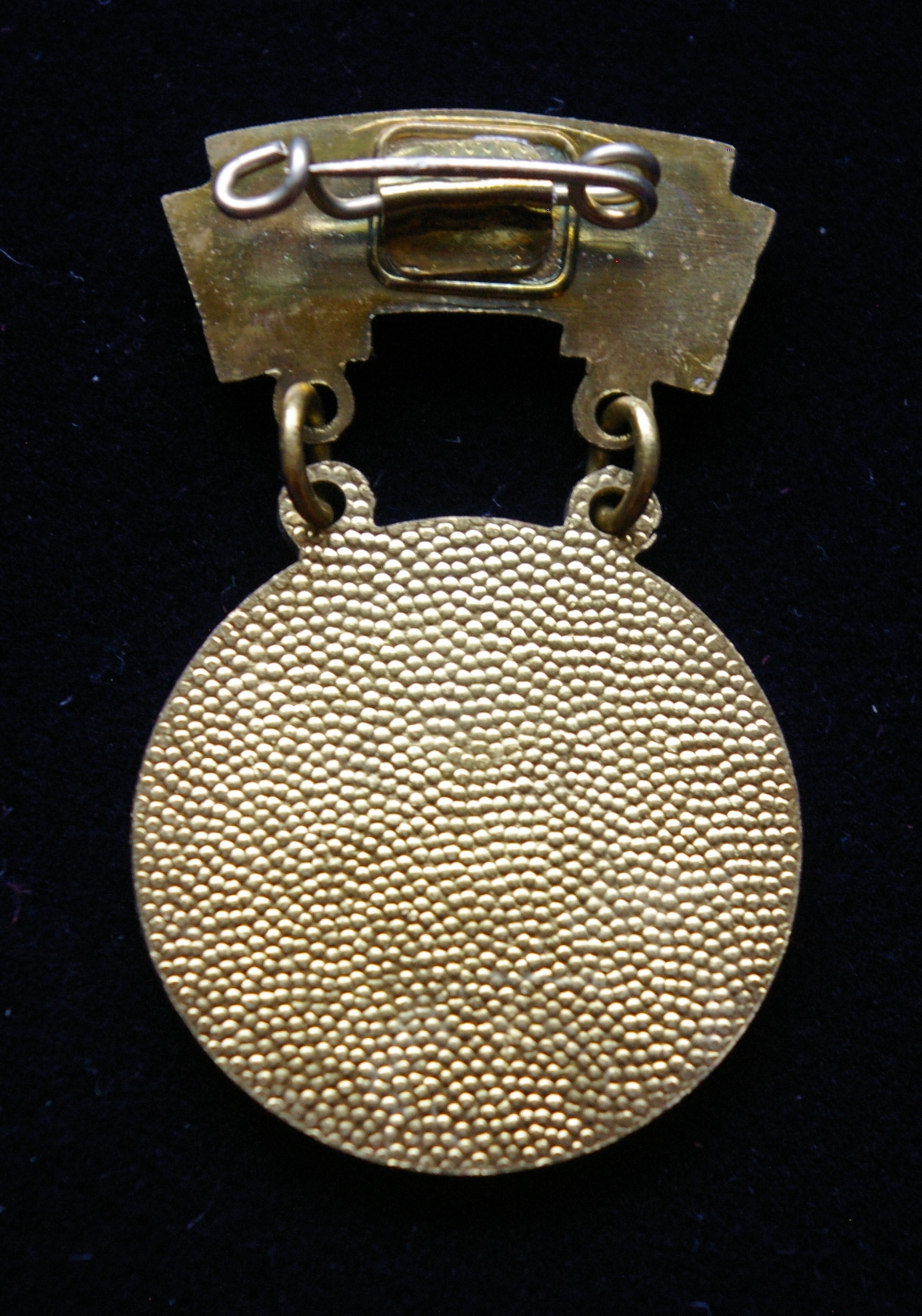 VDR apdovanojimas už nuopelnus socialistiniame švietime