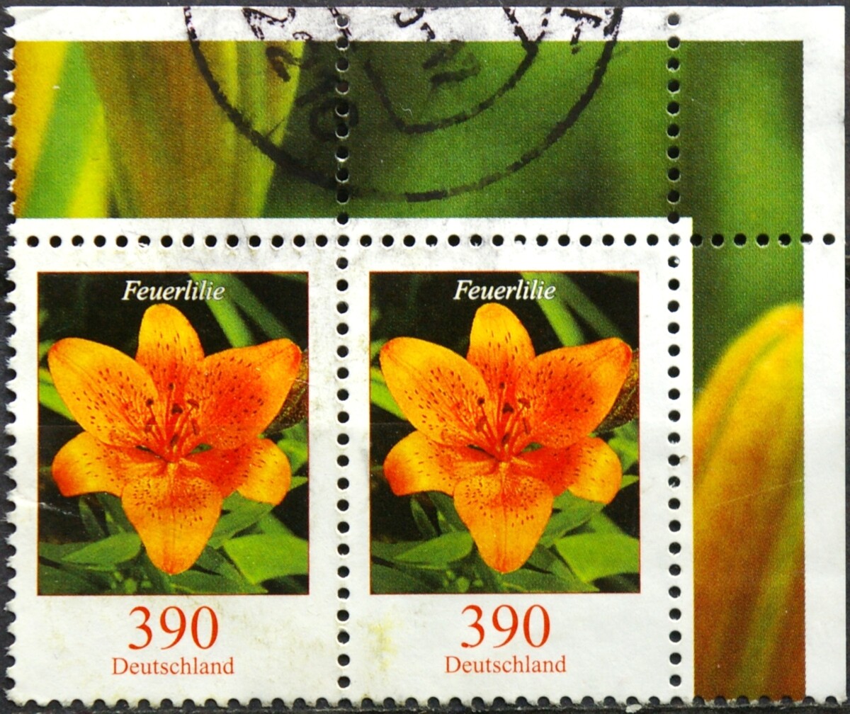 Vokietija, pora MiNr 2534 Used(O)