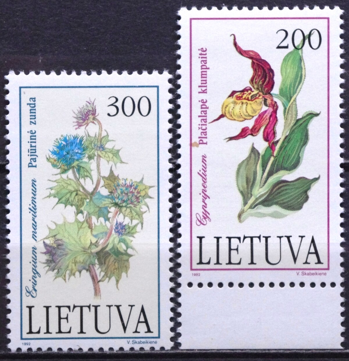 Lietuva, pilna serija MiNr 499-500 MNH** V