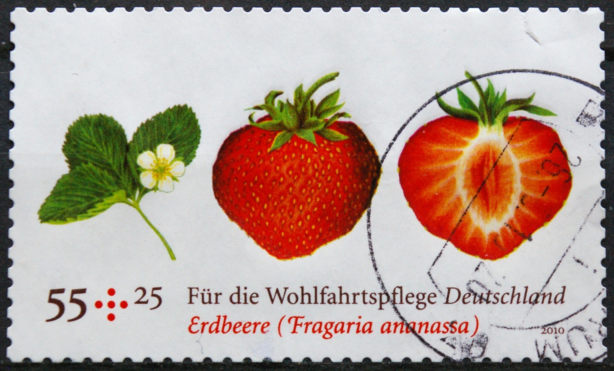 Vokietija MiNr 2777 Used(O)