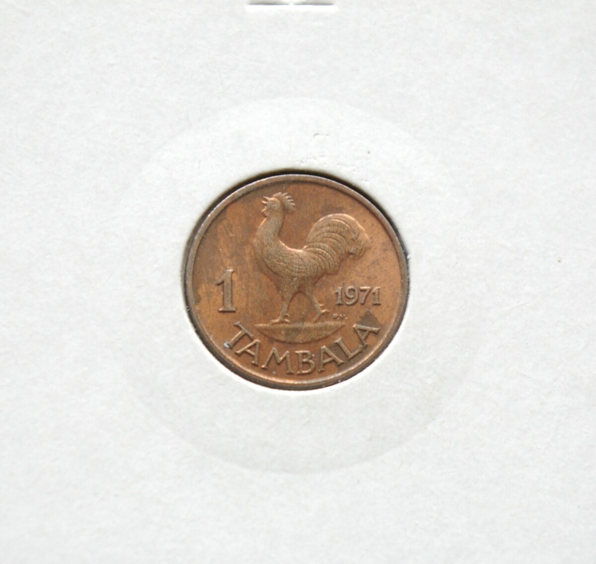 Malavis, 1 tambala 1971m E
