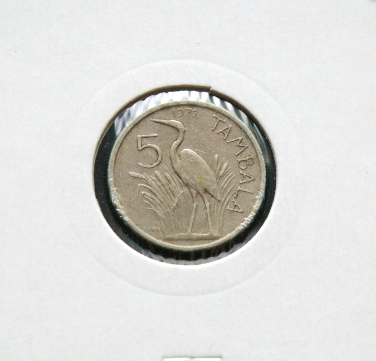 Malavis, 5 tambalos 1971m E