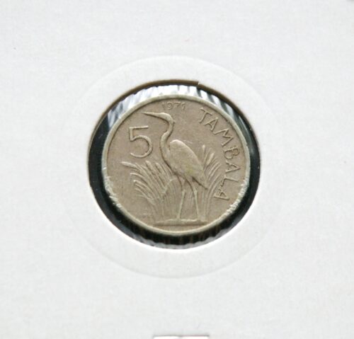 Malavis, 5 tambalos 1971m E