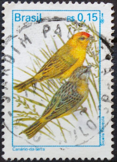 Brazilija ScNr 2488 Used(O) E