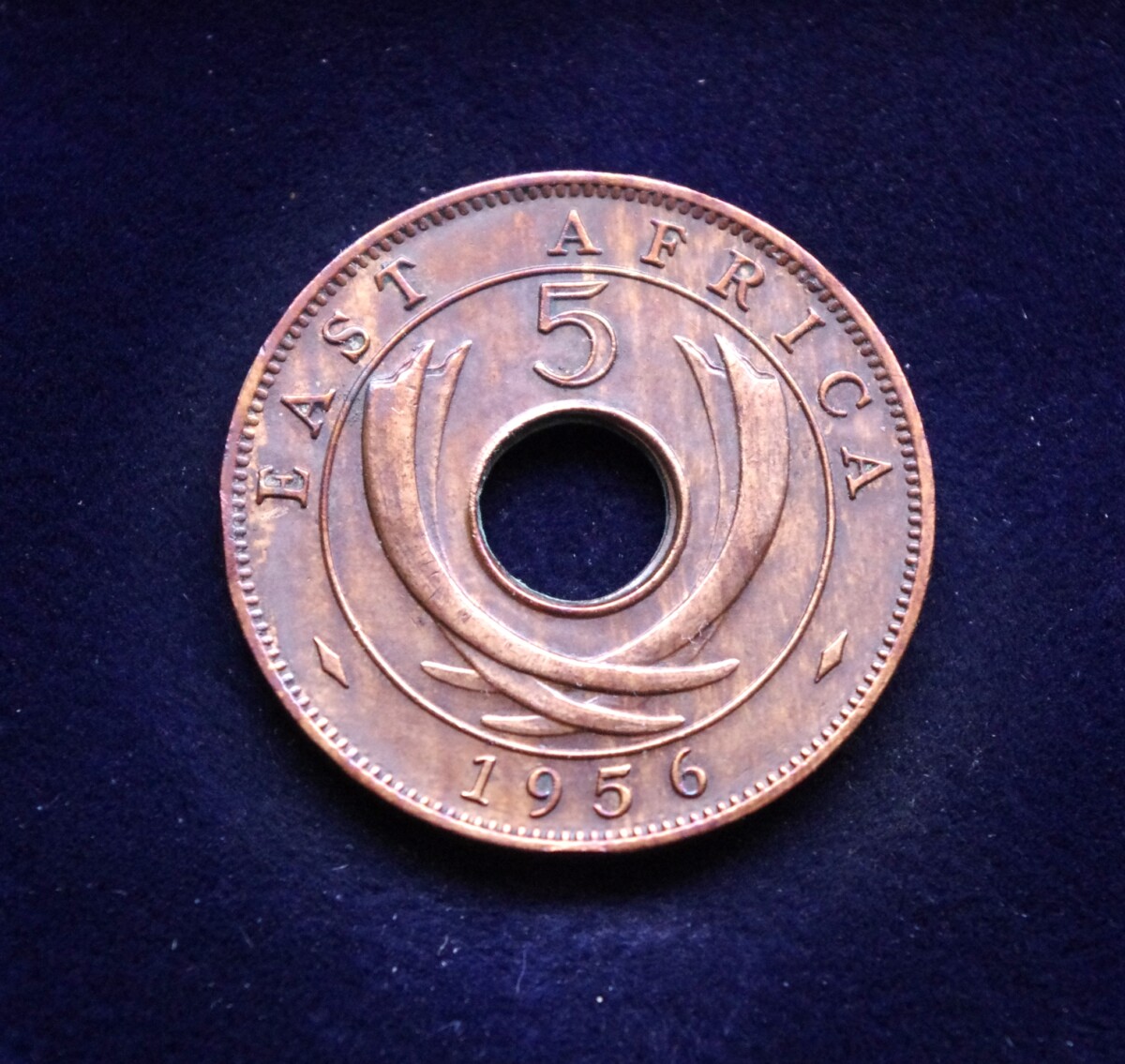 Britų Rytų Afrika, 5 centai 1956m-H