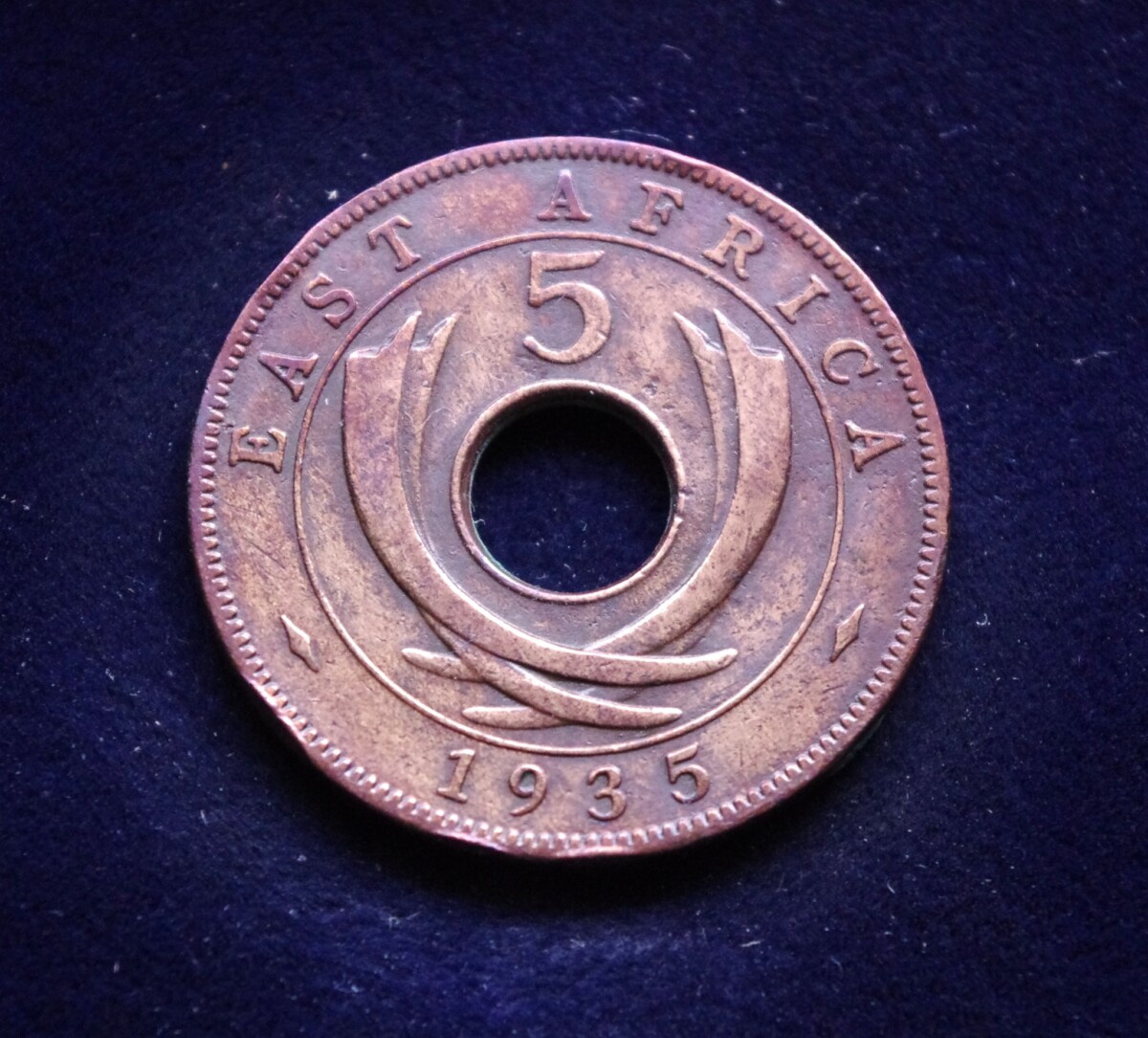 Britų Rytų Afrika, 5 centai 1935m