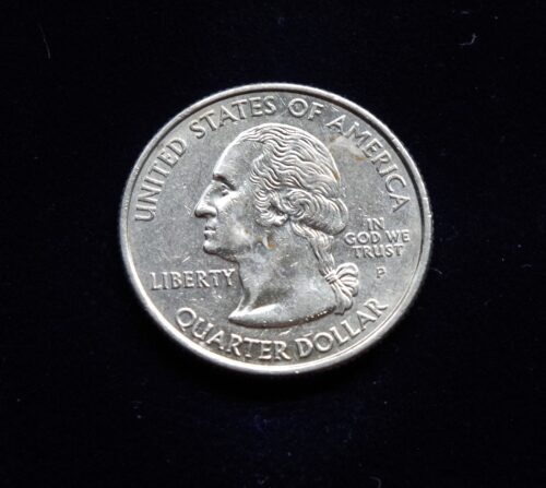 JAV, 25 centai 2004m-P