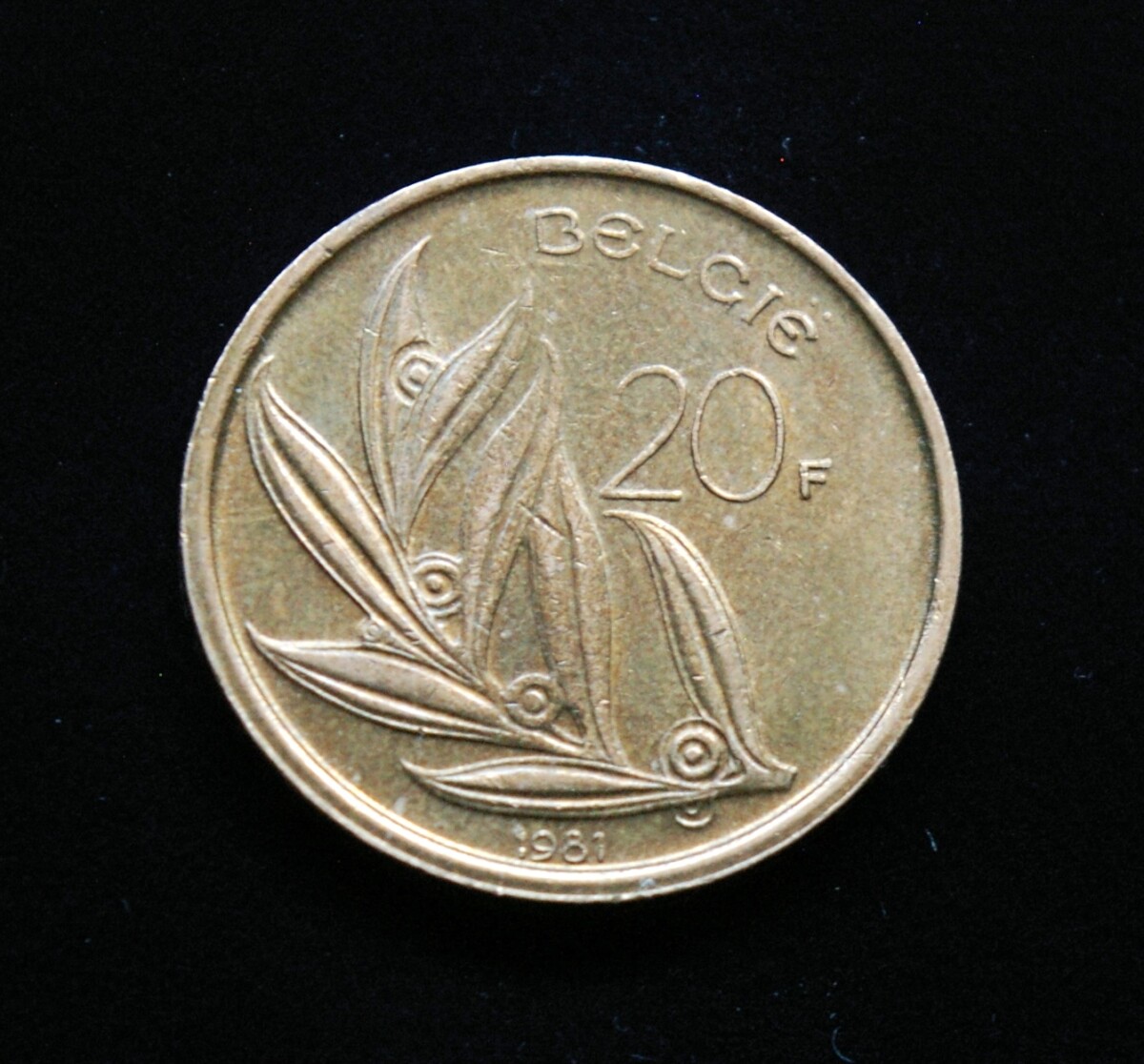 Belgija (Belgie), 20 frankų, 1981m