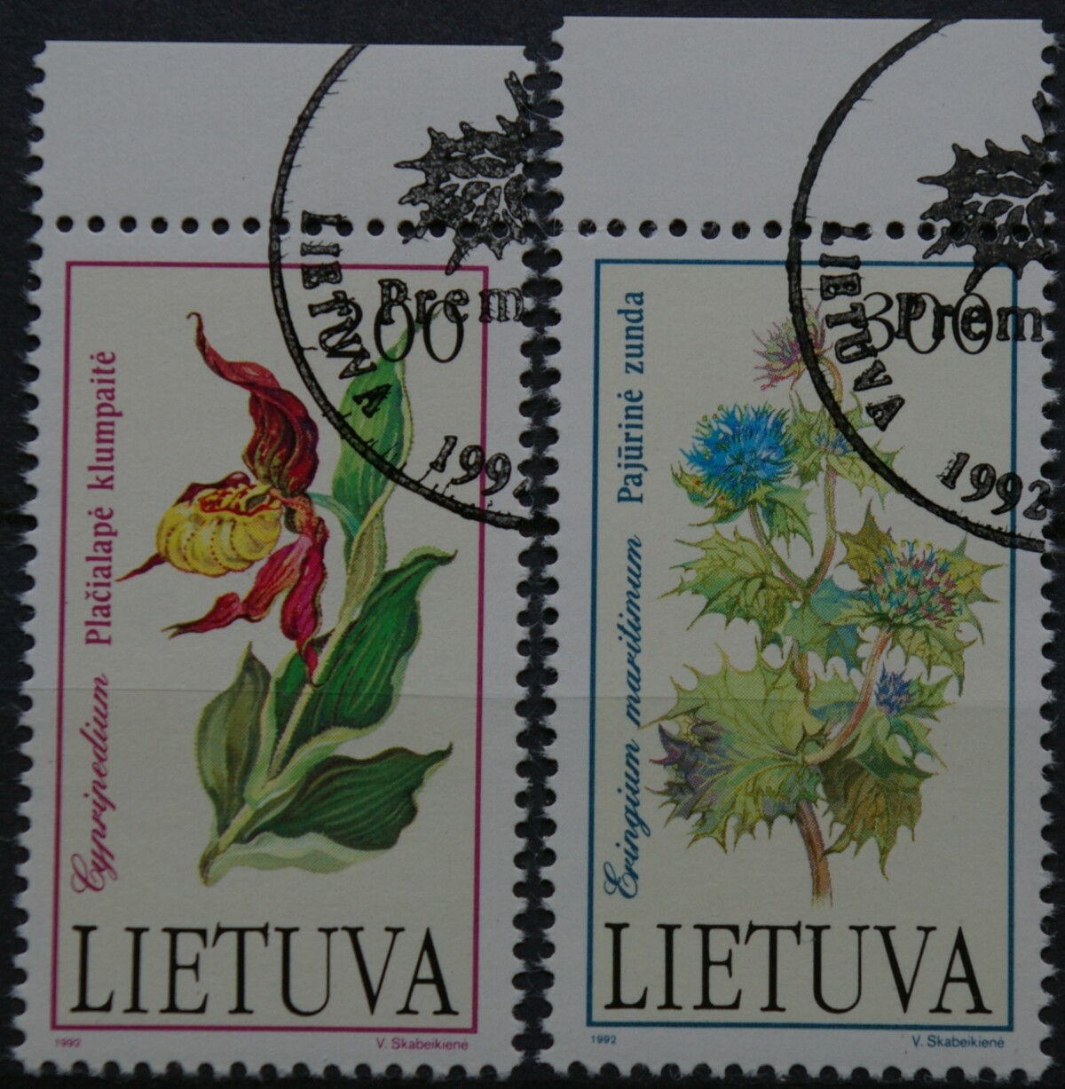 Lietuva, pilna serija MiNr 499-500 Used(O)