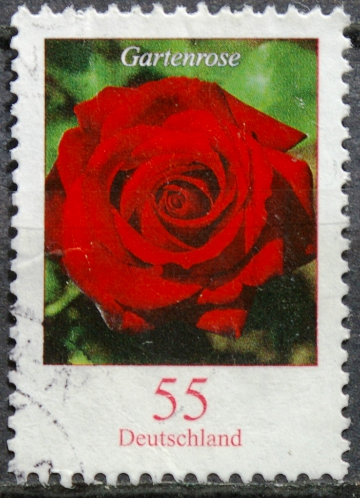 Vokietija MiNr 2669 Used(O)