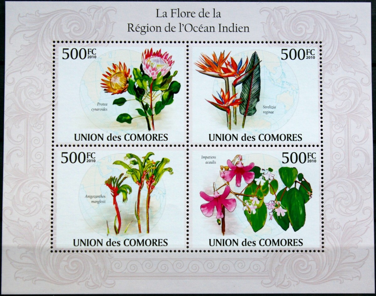 Komorų salos, pilna 2010m serija MNH**
