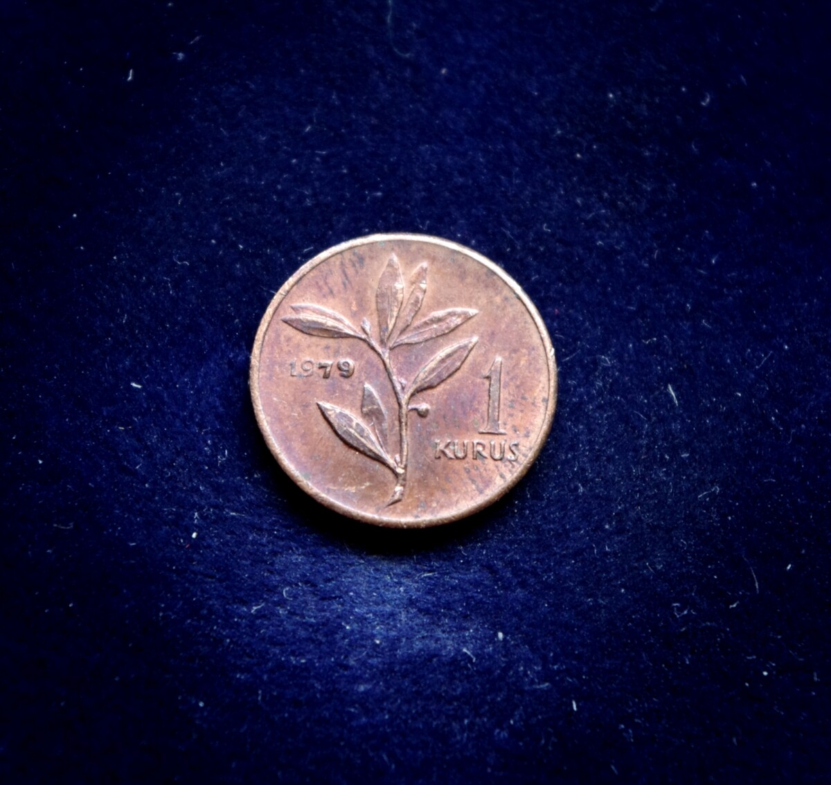 Turkija, proginis 1 kurušas 1979m E