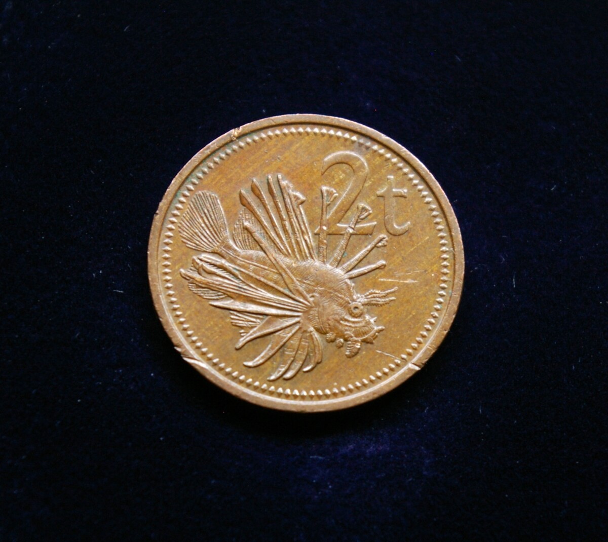 Papua Naujoji Gvinėja, 2 tojos 1978m