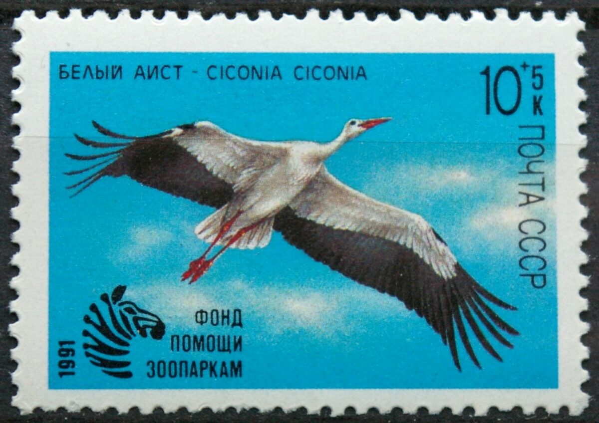 Rusija, TSRS MiNr 6172 MNH**