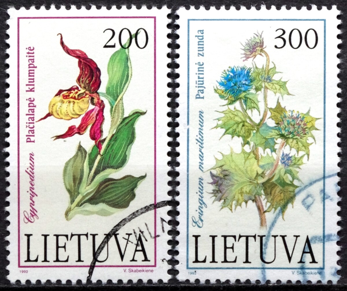 Lietuva, pilna serija, MiNr 499-500 Used(O) V