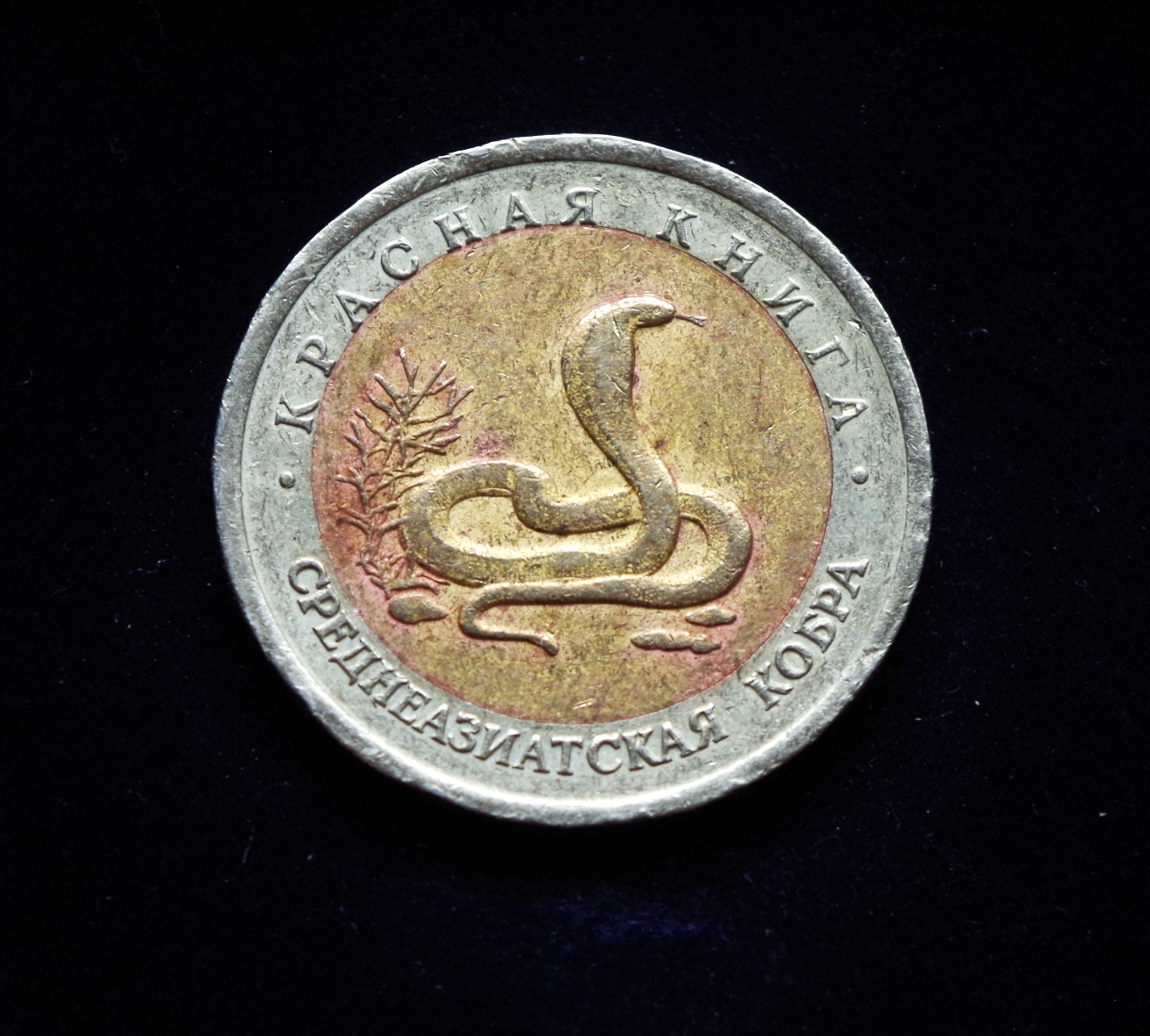 Rusija, proginiai 10 rublių 1992m E