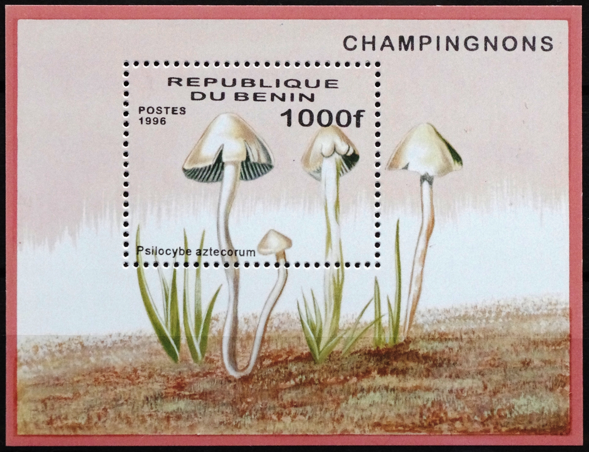 Beninas, blokas Nr. 22 MiNr 855 MNH** V