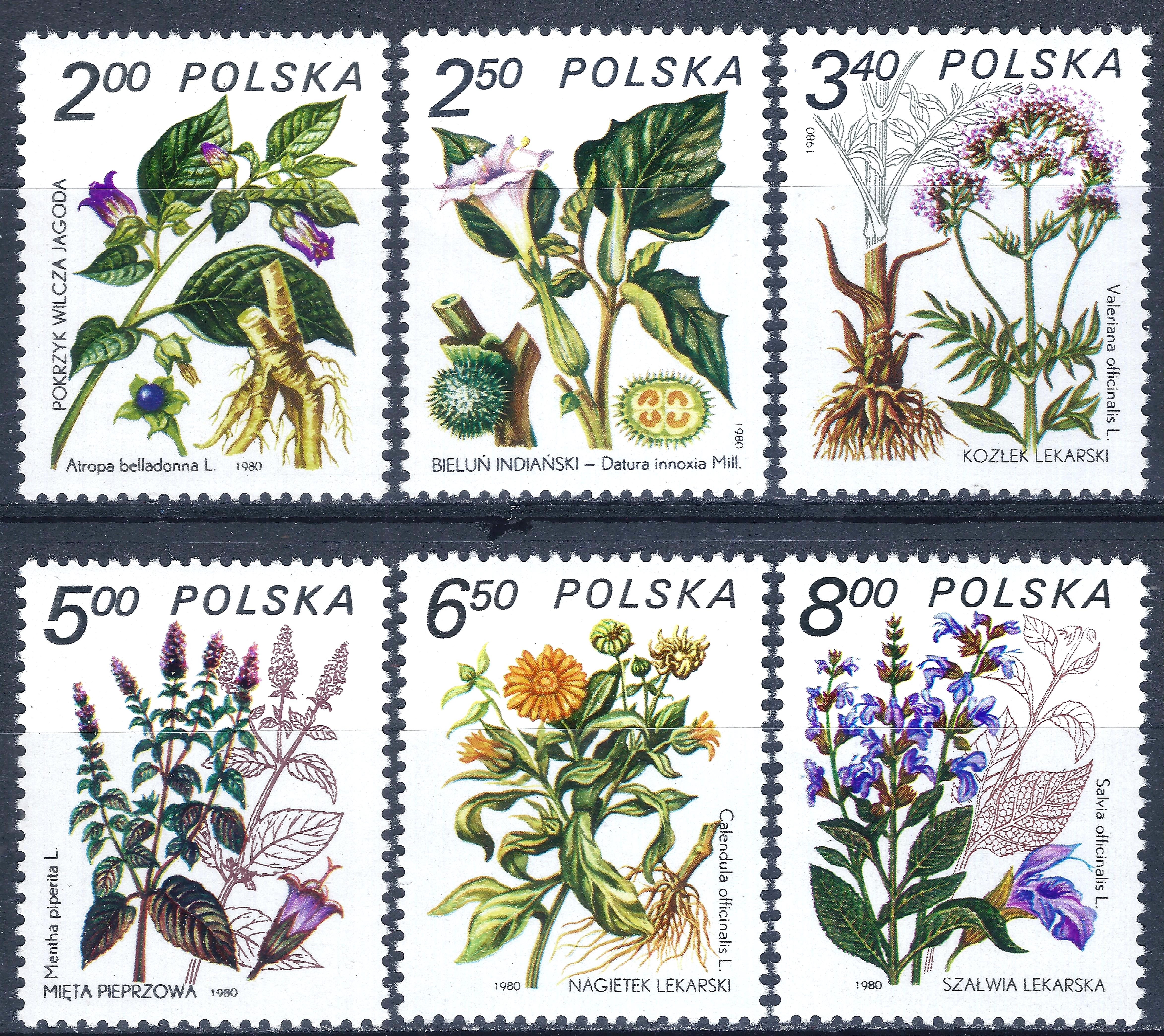 Lenkija, pilna serija MiNr 2706-2710 MNH**
