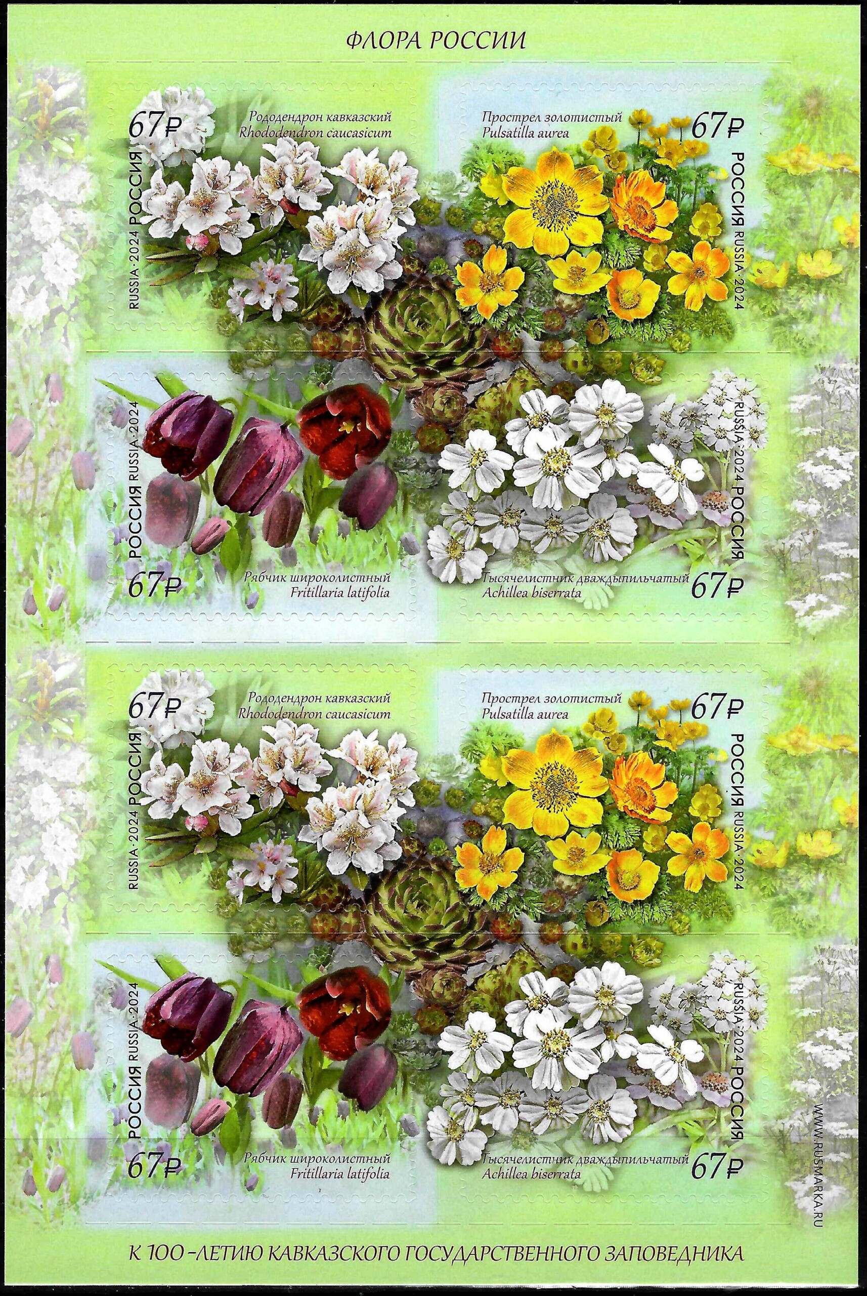 Rusija, mažasis lapukas MiNr 2024.03.07 MNH** V