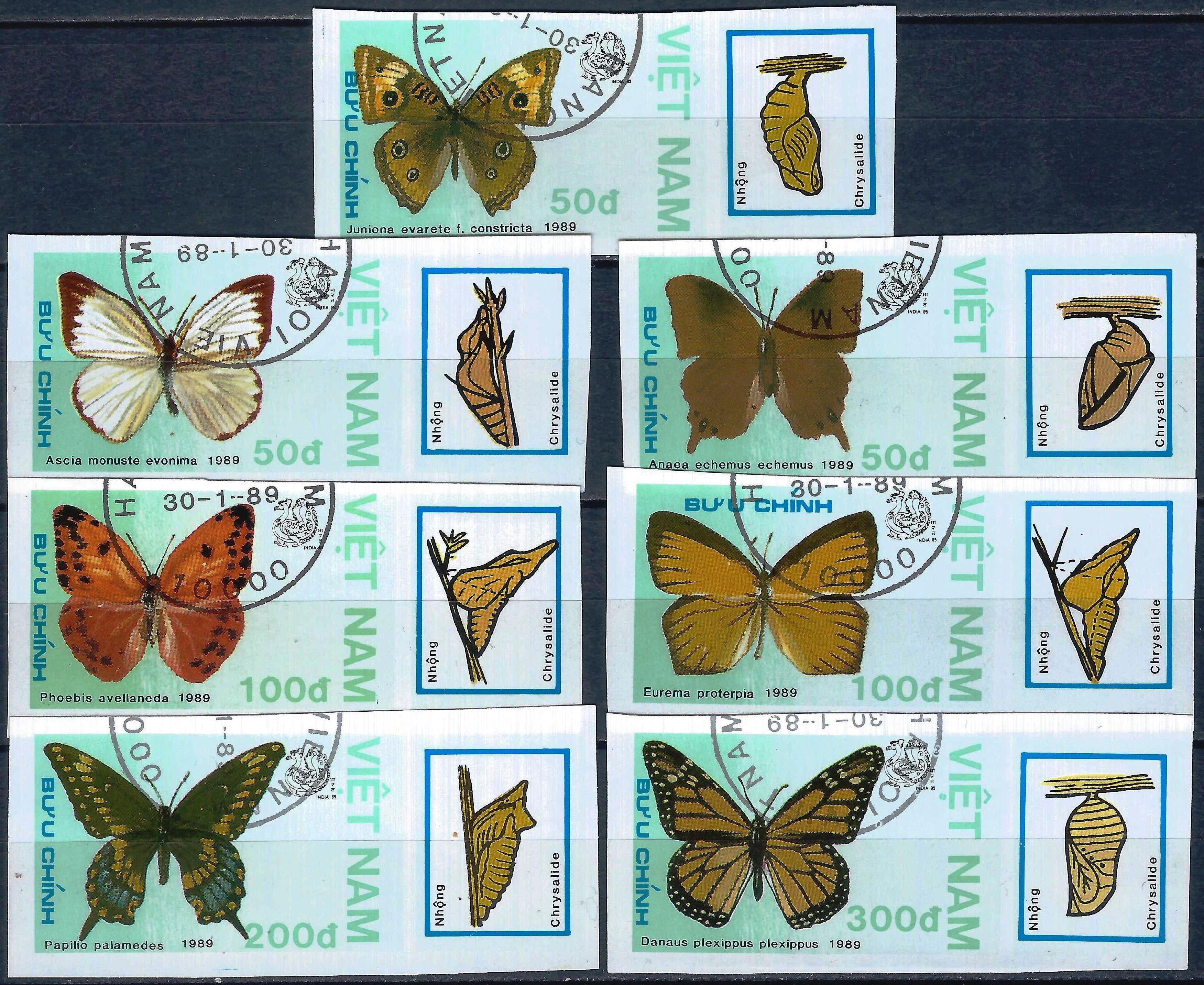 Vietnamas, pilna serija ScNr 1924-1930 Used(O) V